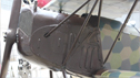 Fokker D VII (7)