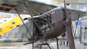 Fokker D VII (7)